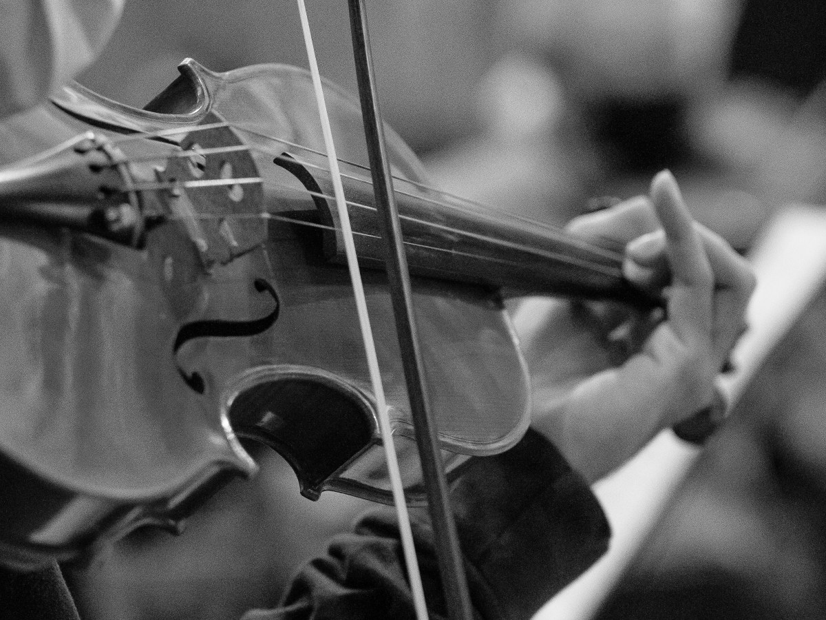 Upcoming Spring 2025&nbsp;Performances